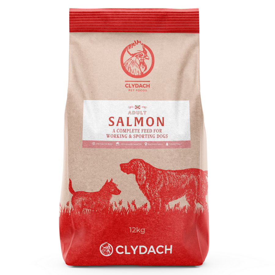 Scottish Salmon Grain Free Natural Food Adult Dog Clydach