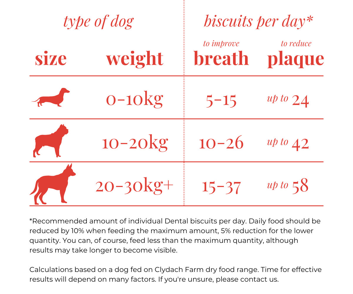 Grain Free Daily Dentals for Dogs - Natural Dog Treat – Clydach Farm Group